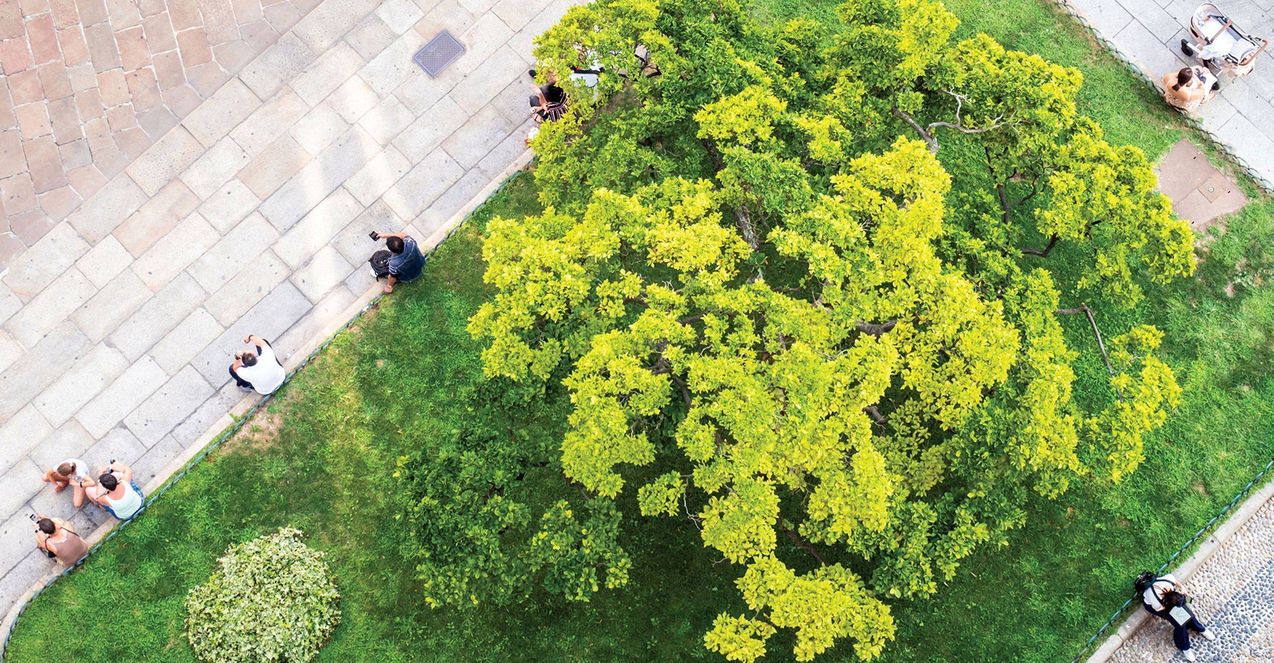 Small park area within an urban environment
