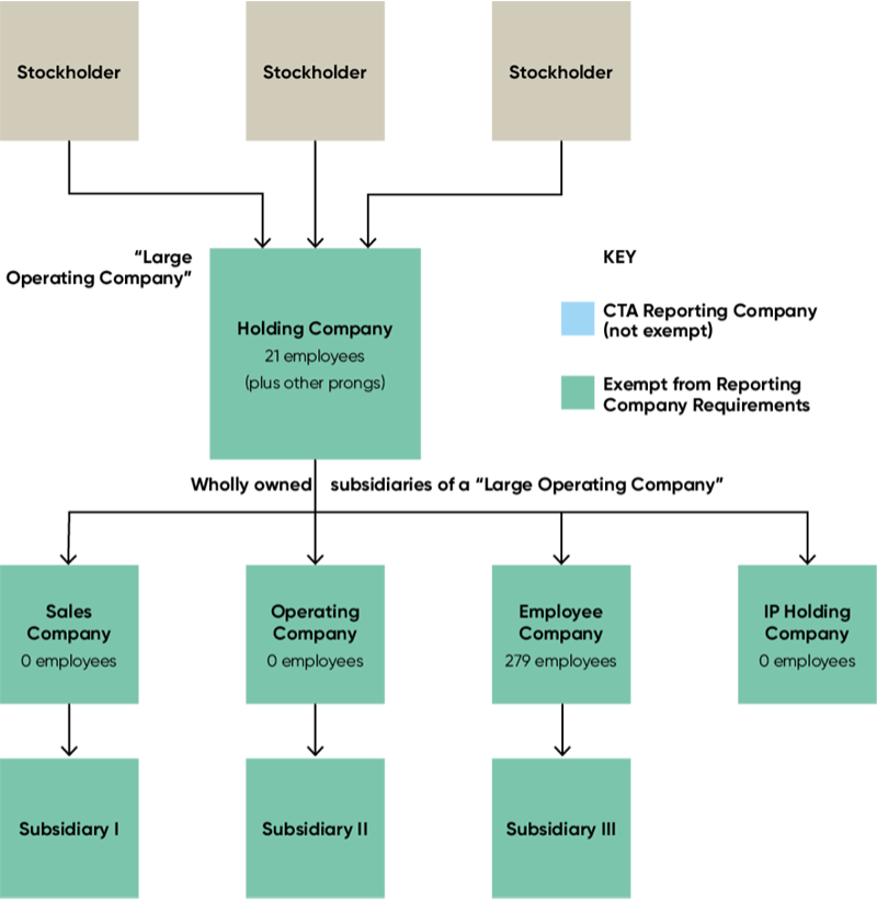Organizational structure chart illustrating Example 2 showing a Holding Company with 21 employees and 271 employees in its subsidiary Employee Company