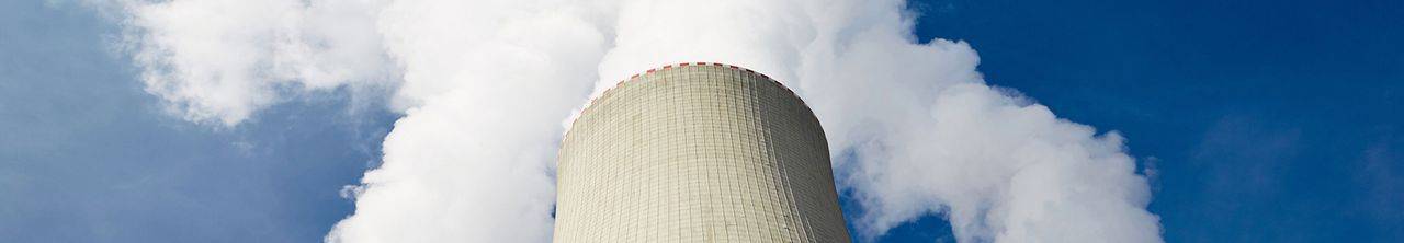 New Nuclear NPS (EN-7)and its interface with the electricity network