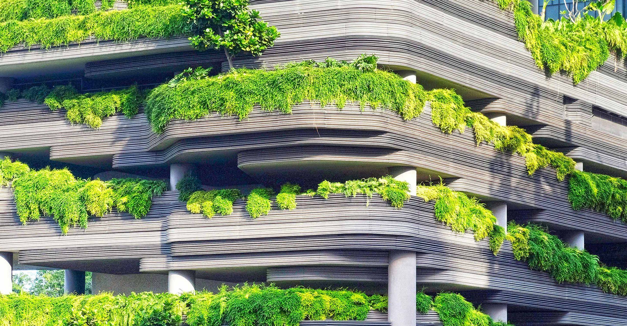 Commercial building covered in plants