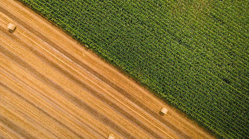 BCLP Advises Western Grazers on Innovative Swap Agreement to Hedge Regulatory Risk 