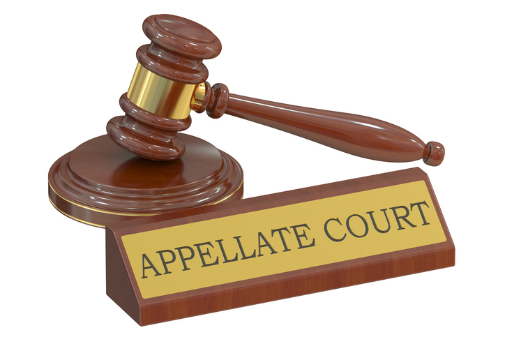 appellate decision